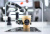 Роботизированная кофейня Rozum Café